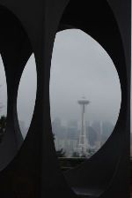 The Needle